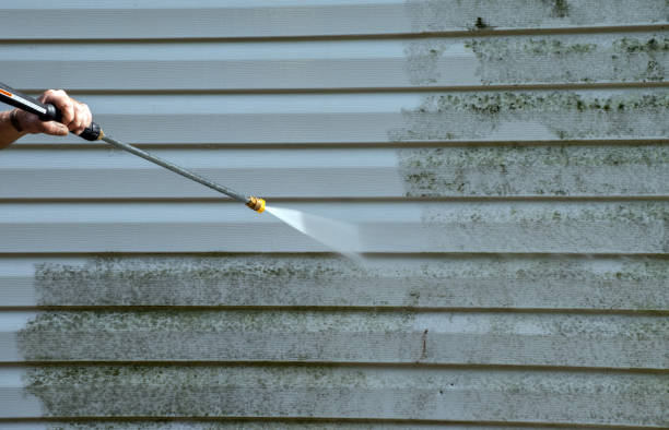 Best Residential Pressure Washing Services  in Onarga, IL