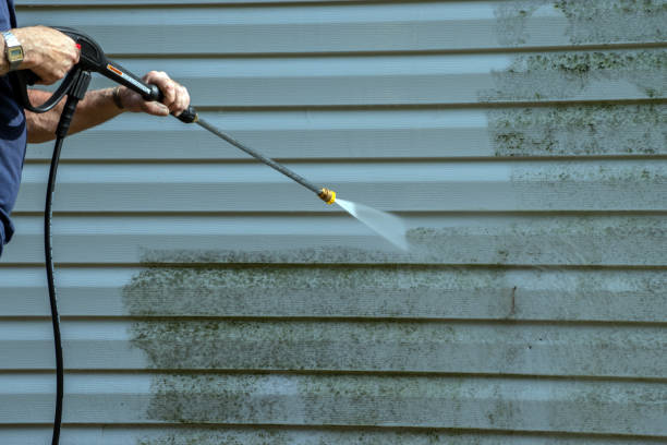 Best Affordable Pressure Washing  in Onarga, IL