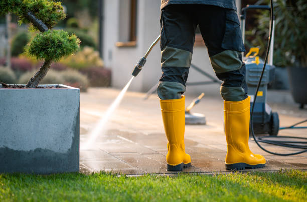 Best Deck Pressure Washing  in Onarga, IL